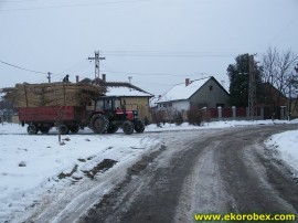 EKOROBEX